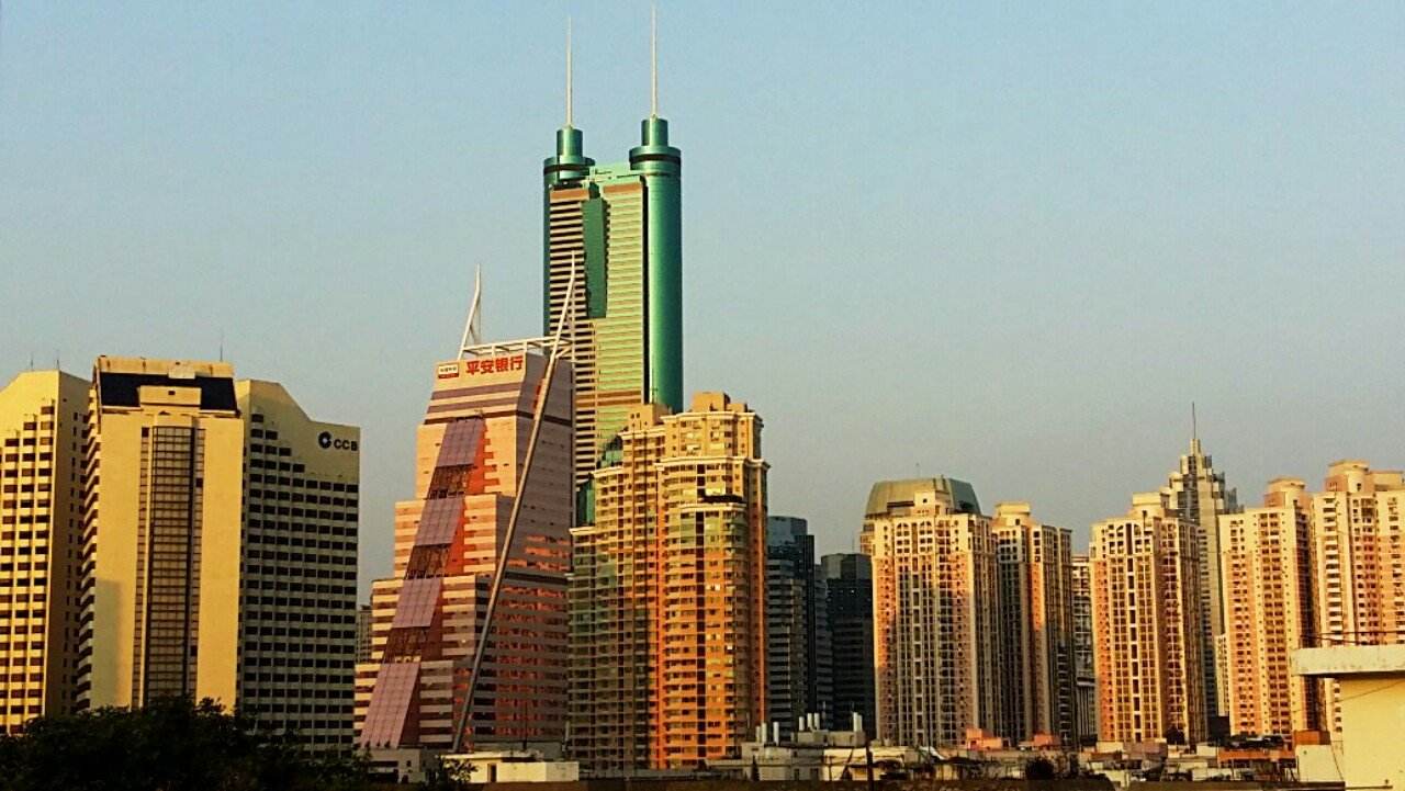 2020年深圳福田区自学考试成绩查询