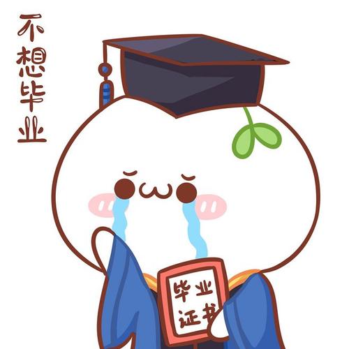 2020年深圳市宝安区自考论文答辩