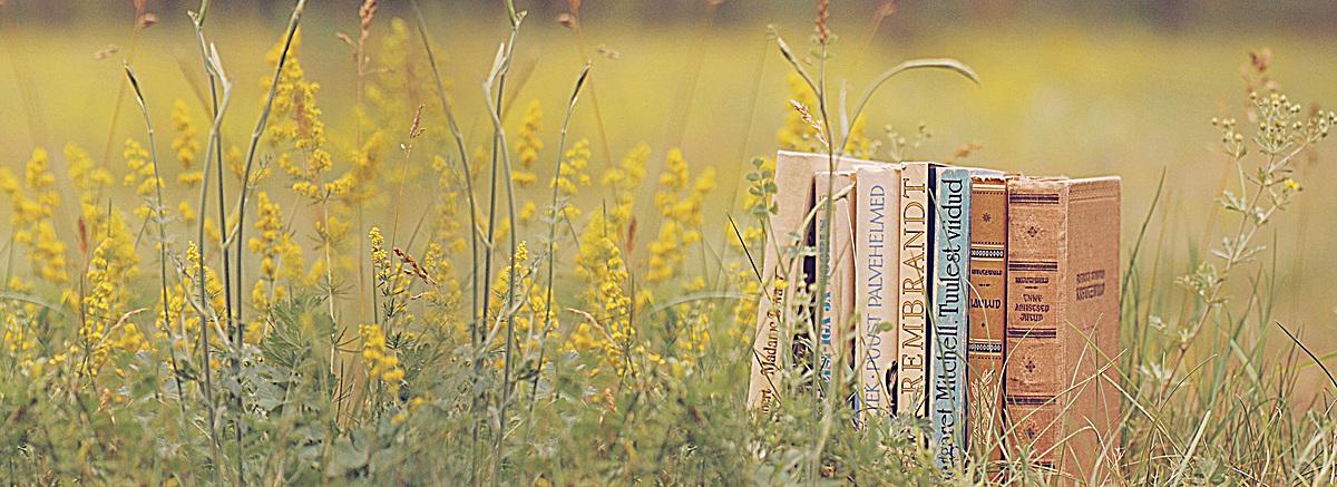 深圳自考生电子档案如何归档