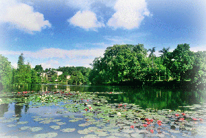 华南农业大学学校简介(图3)