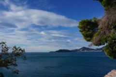 深圳市自考本科要考几门才能毕业，都有哪些科目？