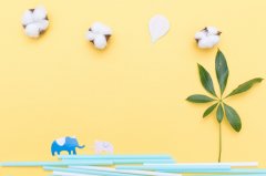 为什么大家都选择深圳市自考本科？