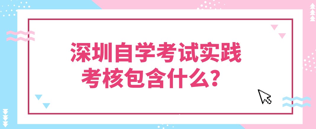 深圳自学考试实践考核包含什么？