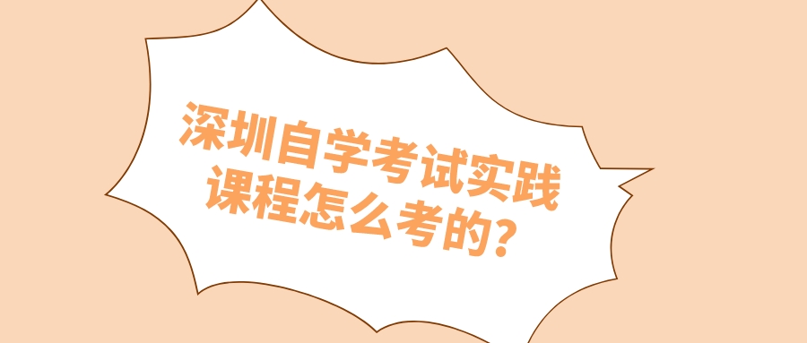 深圳自学考试实践课程怎么考的?