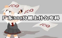 深圳300分能上什么专科?
