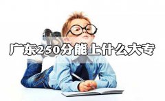 深圳250分能上什么大专?