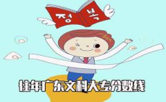 往年深圳文科大专分数线