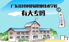 深圳市对外贸易职业技术学校有大专吗